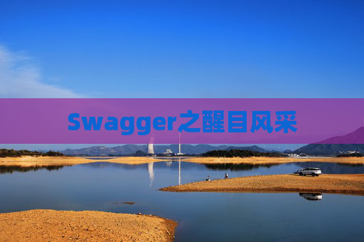 Swagger之醒目风采